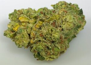 Buy 24k Gold Weed Online