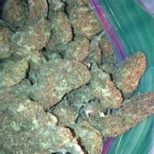 Buy 3 Kings Cannabis Strain Online