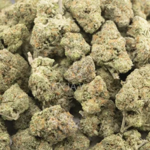 Buy ACDC Weed Strain