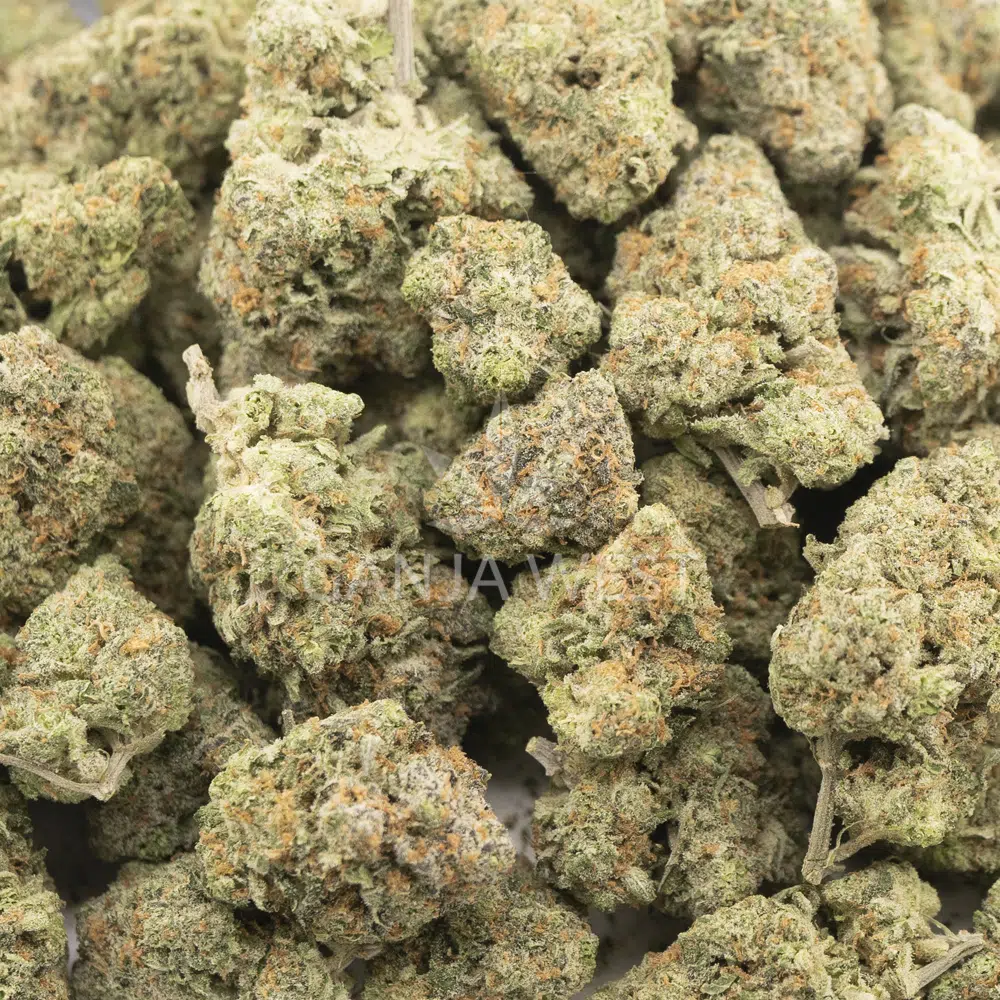 Buy ACDC Weed Strain