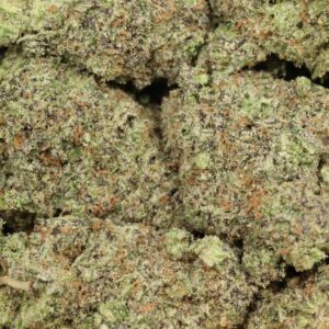 Buy AK-47 Weed Strain Online