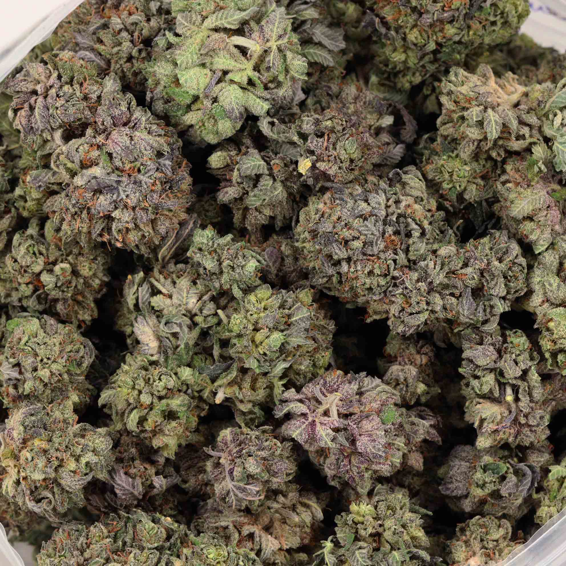 Buy Afghan Kush Online