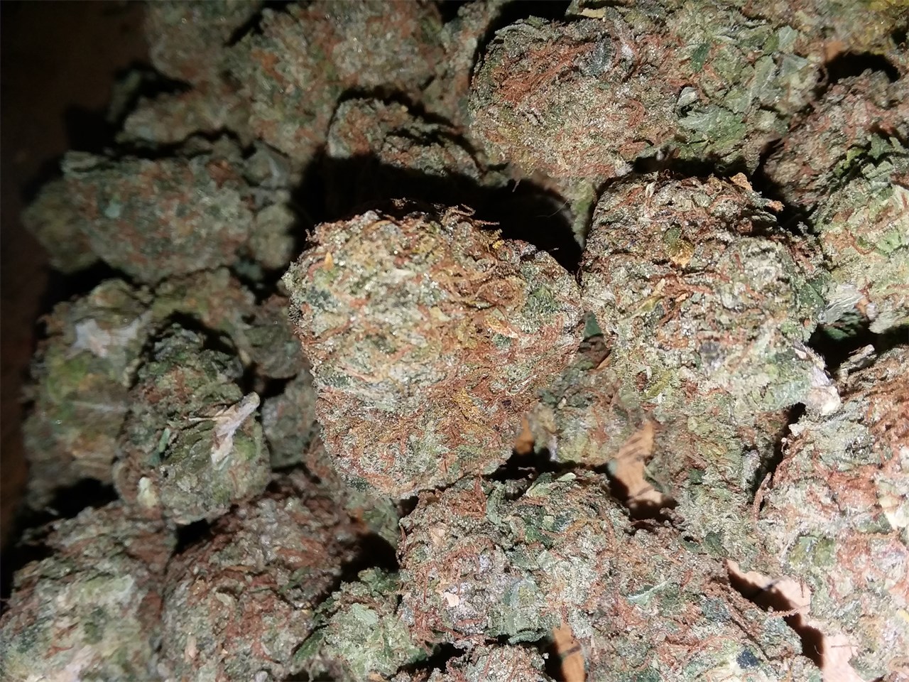 Buy Afghan Kush Online
