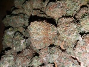 Buy Afghani Kush Online