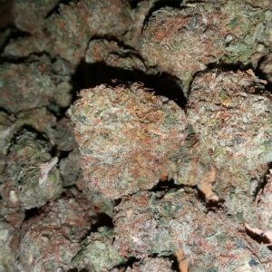 Buy Afghani Kush Online