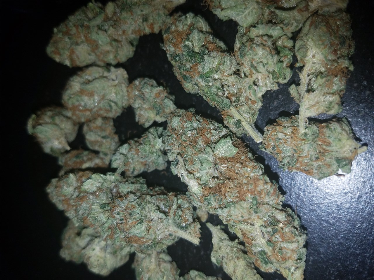 Buy Alien OG Kush Online