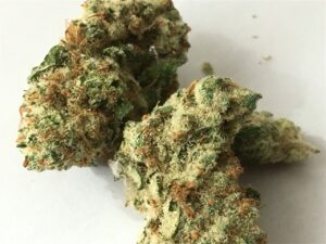 Buy Allen Wrench Weed Strain