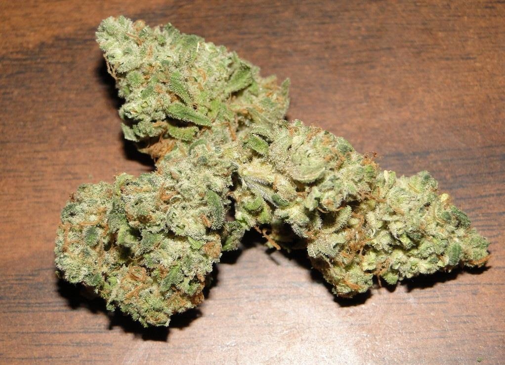 Buy Alpha Blue Weed Strain
