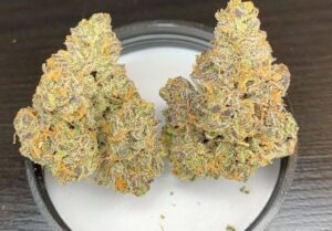 Buy Atomic Apple Weed Strain
