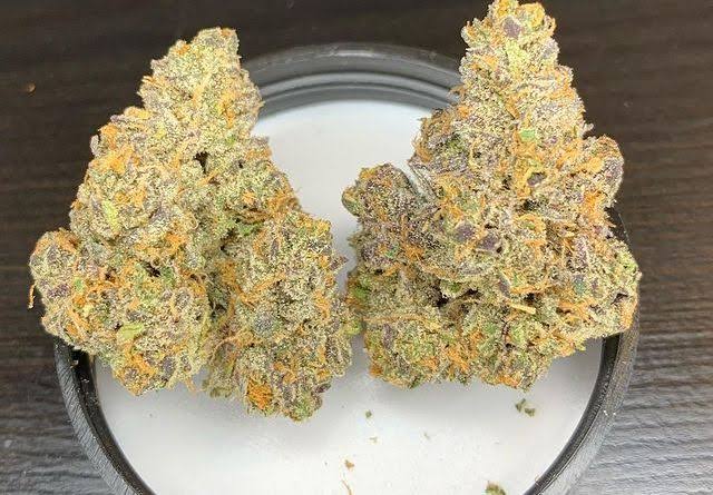 Buy Atomic Apple Weed Strain