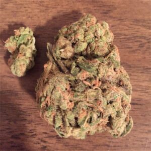 Buy Bay Dream Weed Strain