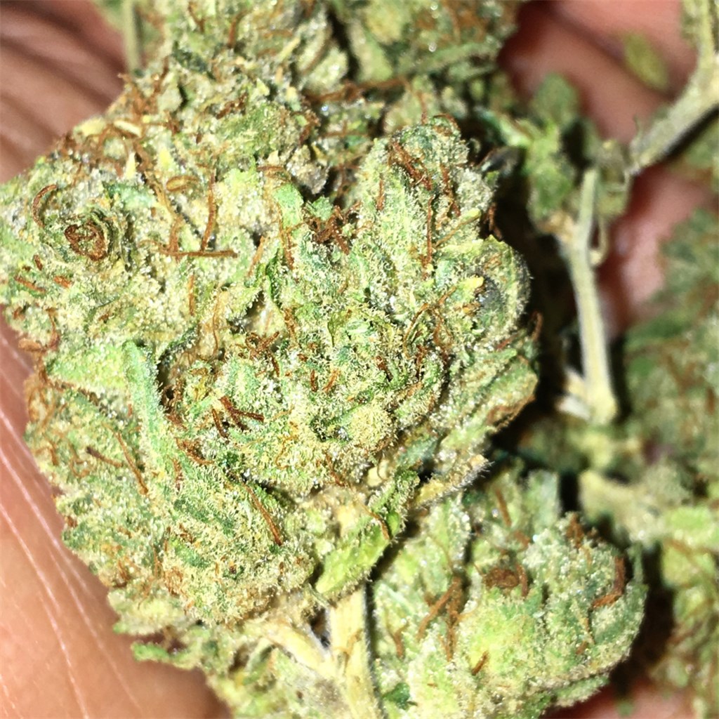 Buy Birthday Cake Kush Online