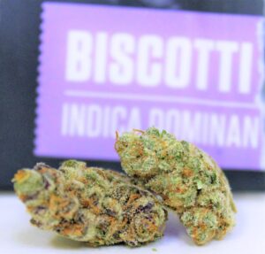 Buy Biscotti Cannabis Online