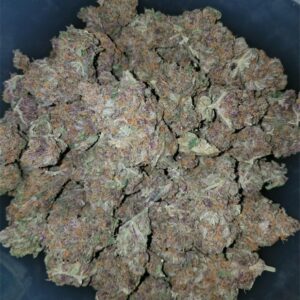 Buy Black Cherry Soda Online