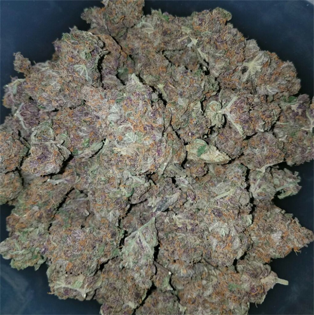 Buy Black Cherry Soda Online