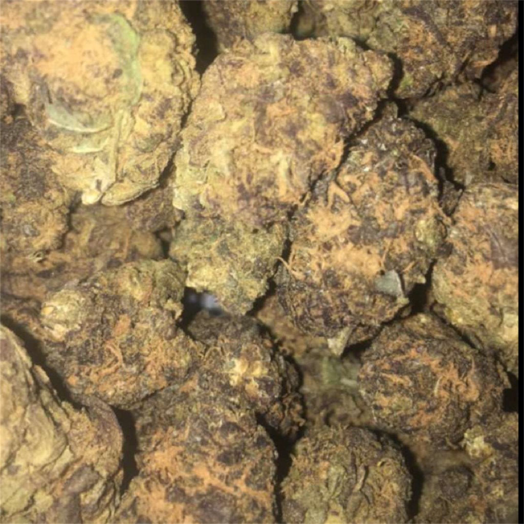 Buy Black Mamba Cannabis Online