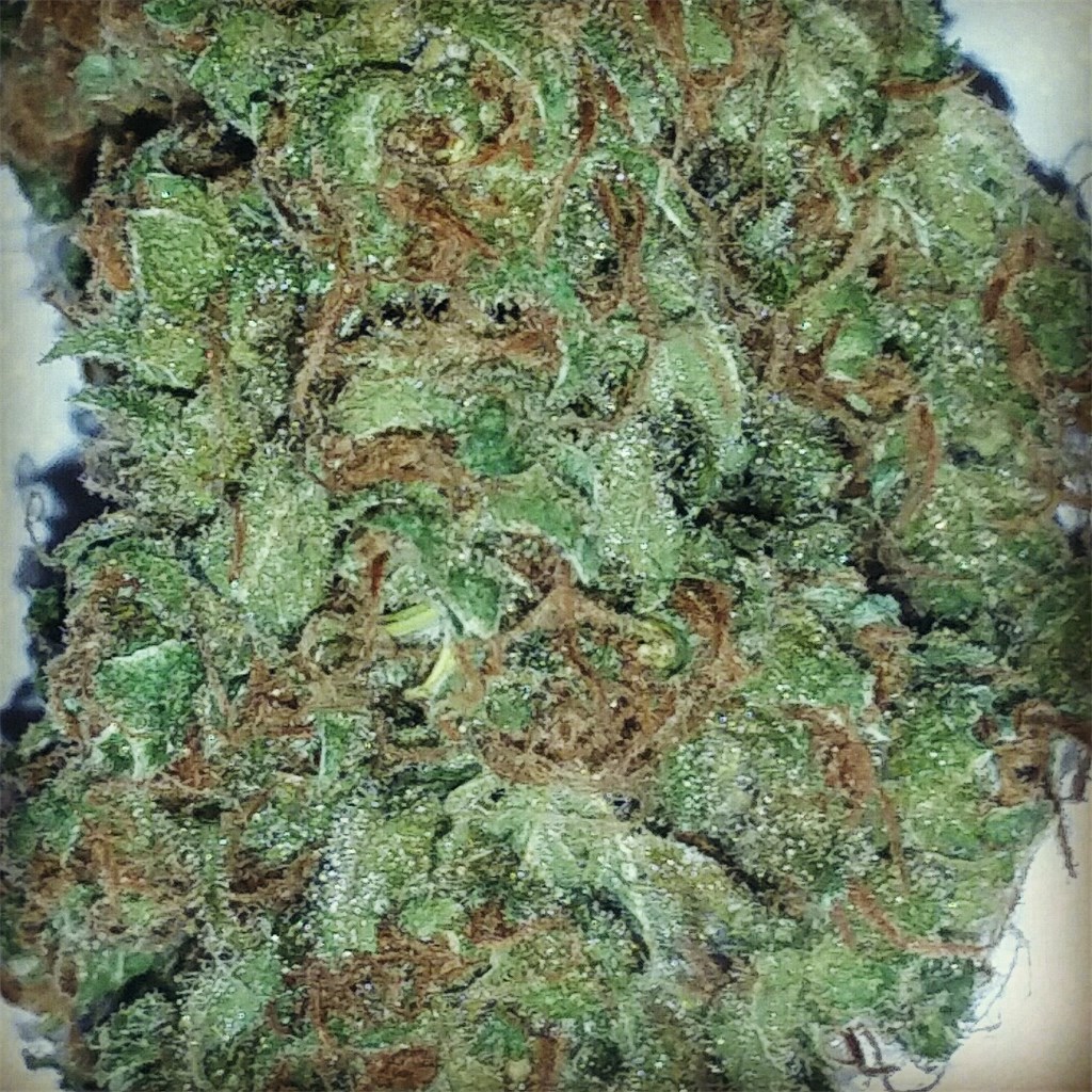 Buy Black Widow Weed Online