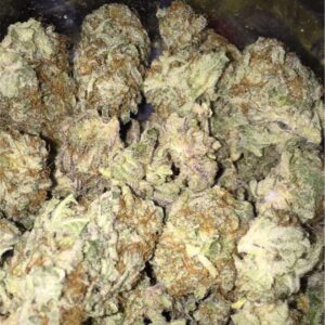 Buy Blackberry Kush Strain