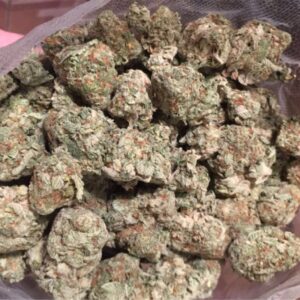 Buy Blackberry Kush Strain