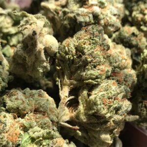 Buy Blue Cheese Weed Strain