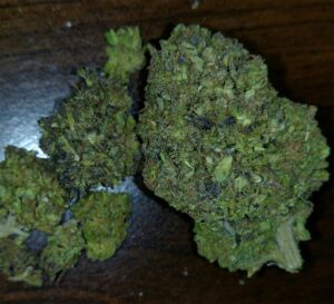 Buy Blue Goo Weed Strain