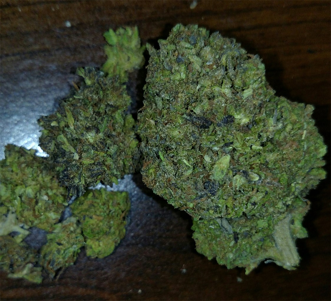 Buy Blue Goo Weed Strain
