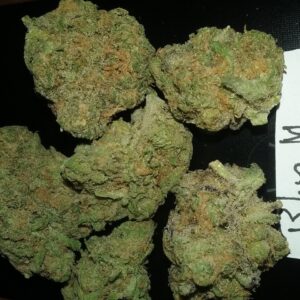 Buy Blue Magoo Cannabis Online