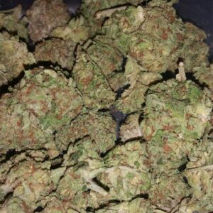 Buy Blueberry Cannabis Strain
