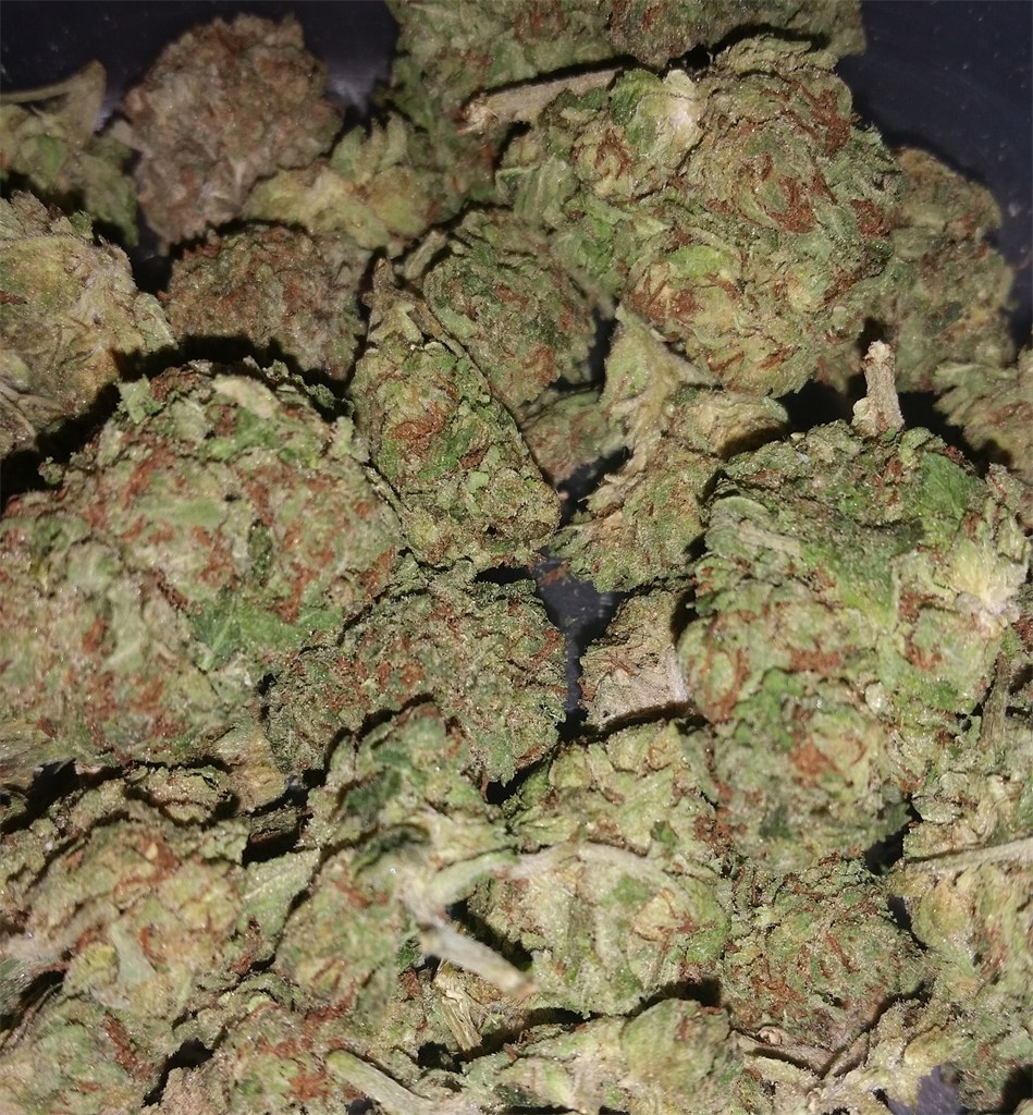 Buy Blueberry Cannabis Strain