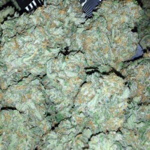 Buy Blueberry Kush Online