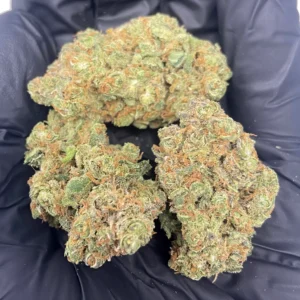 Buy Blueberry Muffin Weed Online