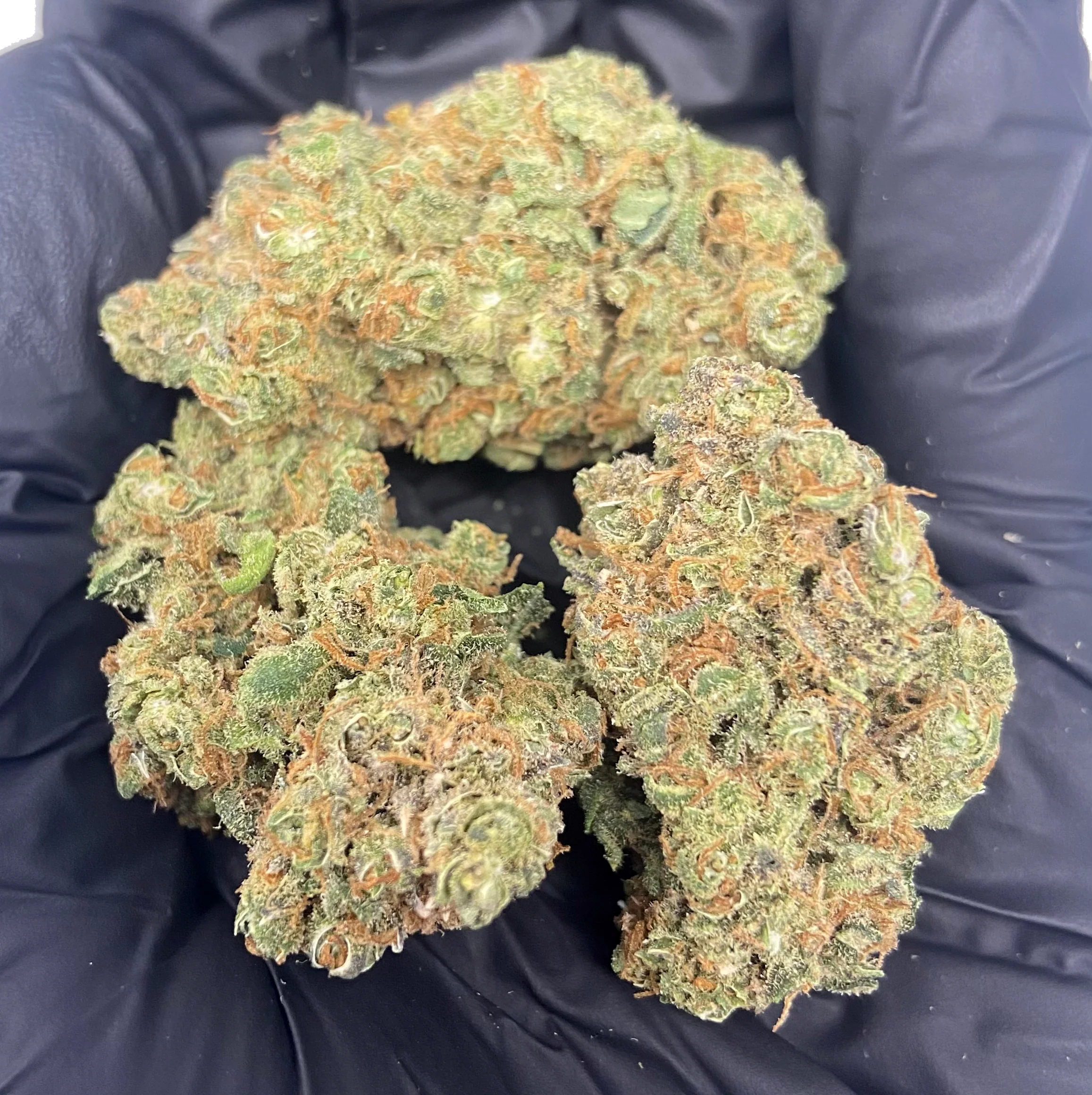 Buy Blueberry Muffin Weed Online