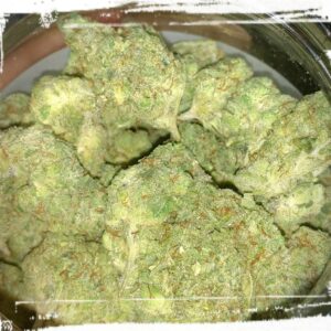 Buy Blueberry Sour Diesel Online