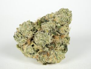 Buy Brownie Scout Cannabis Online