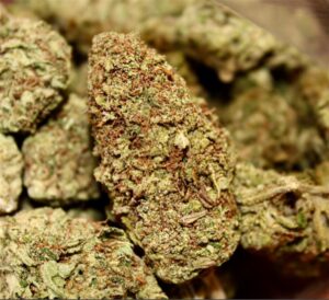 Buy Candy Jack Weed Strain