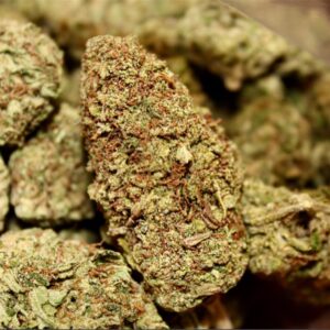 Buy Candy Jack Weed Strain