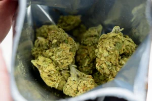 Buy Cannatonic Cannabis Online