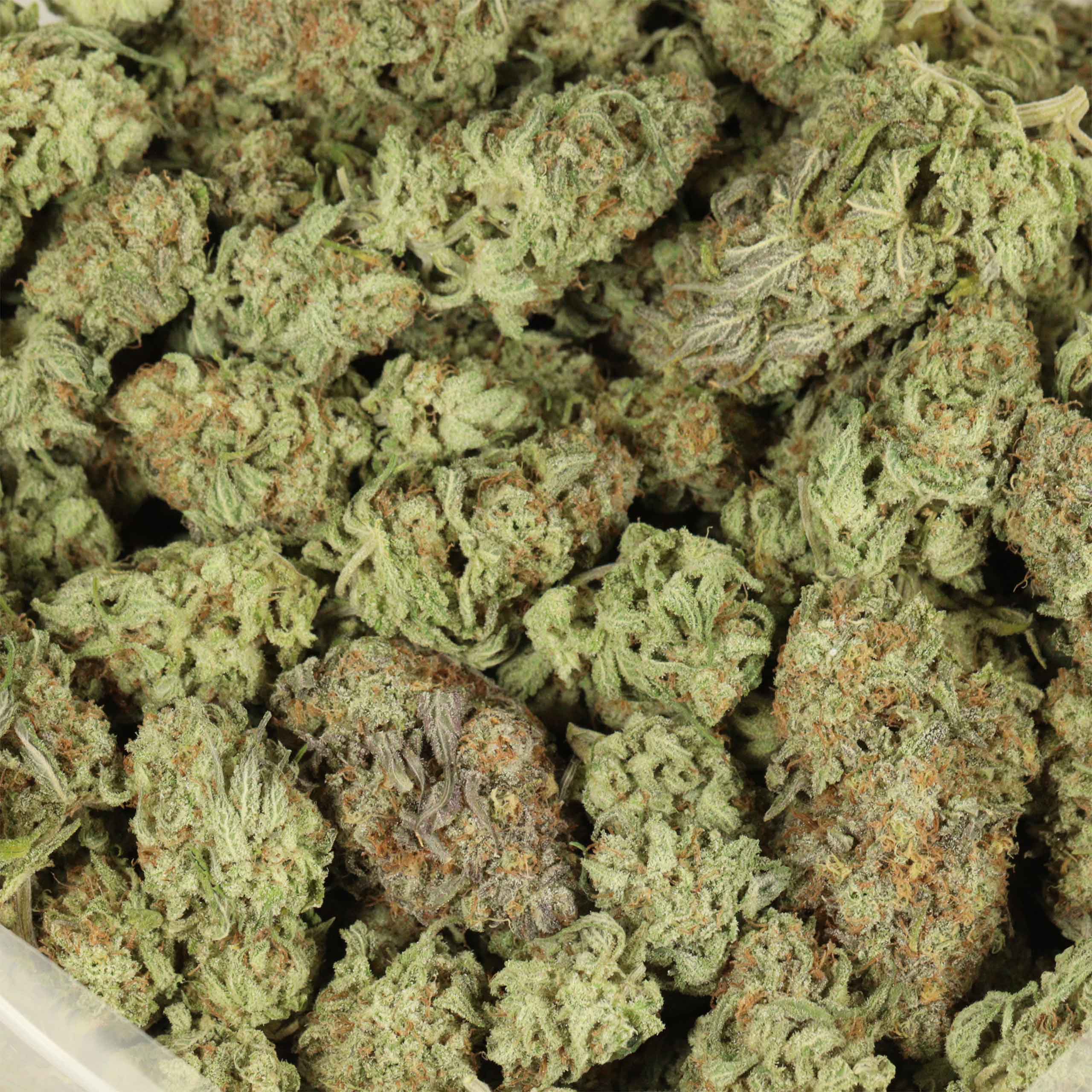 Buy Casey Jones Weed Online