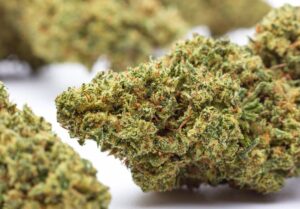 Buy CBD Charlotte’s Angel Weed Strain