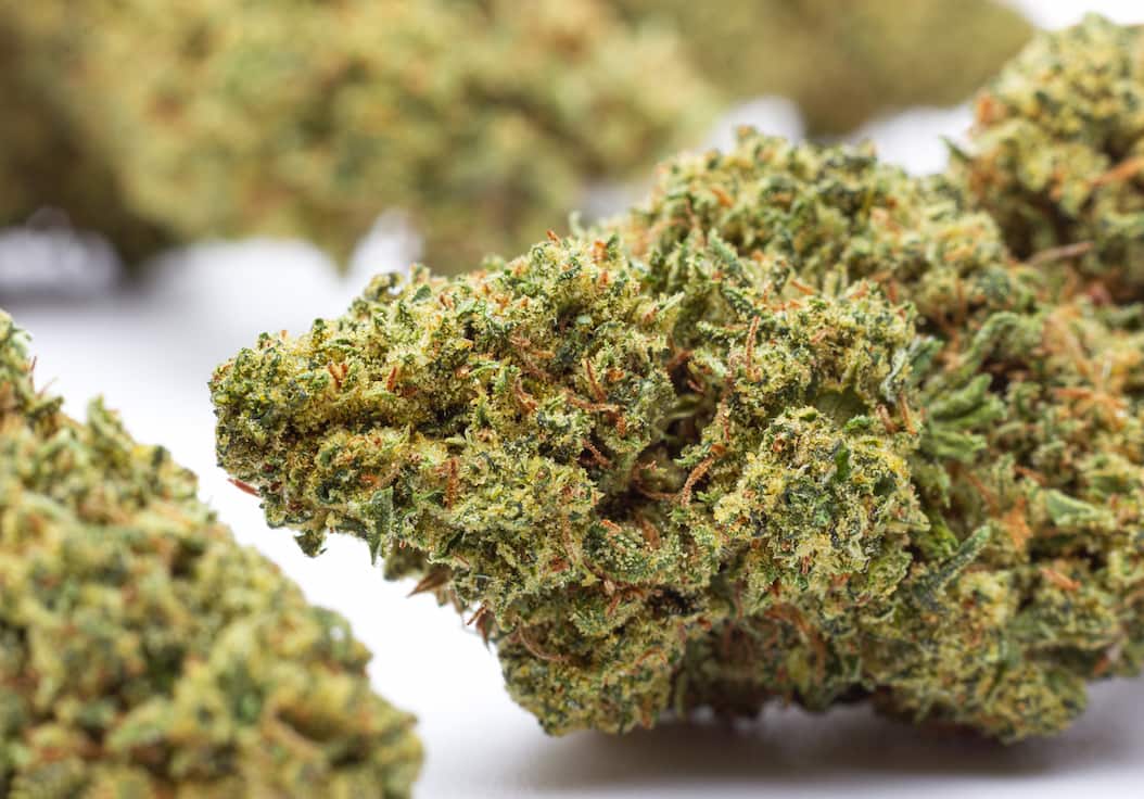 Buy CBD Charlotte’s Angel Weed Strain