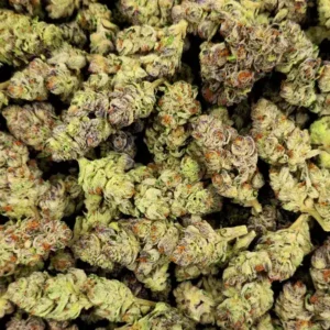 Buy Chernobyl Weed Strain Online