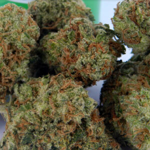 Buy Cherry AK-47 Marijuana Strain