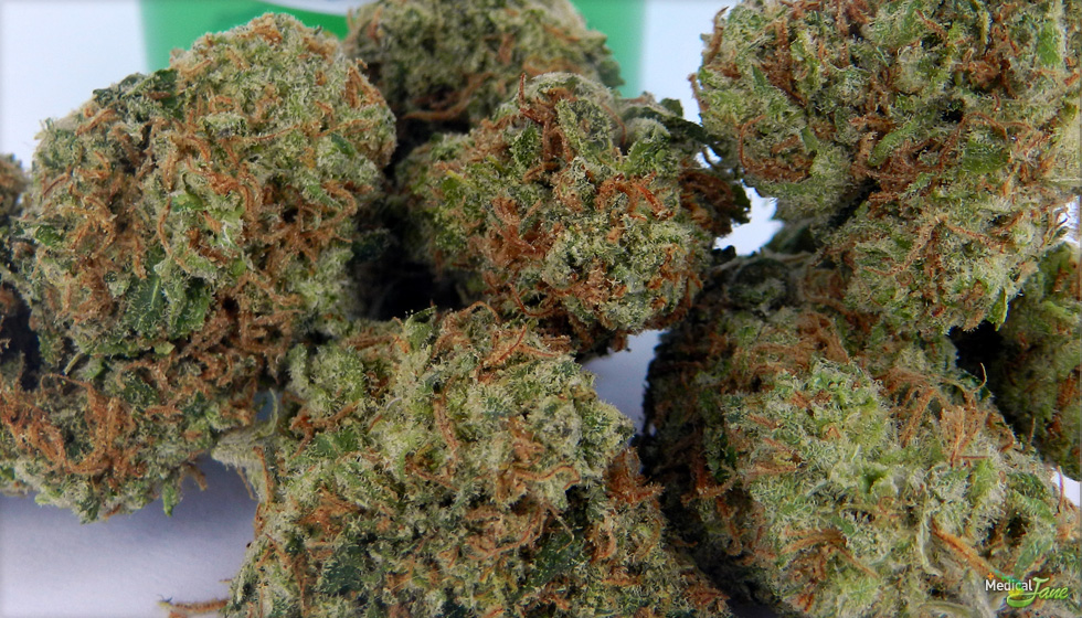Buy Cherry AK-47 Marijuana Strain
