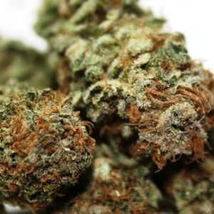 Buy Chocolate Chunk Weed Strain