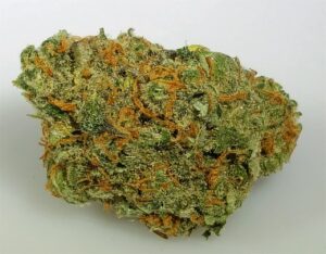 Buy Chocolope Weed Strain