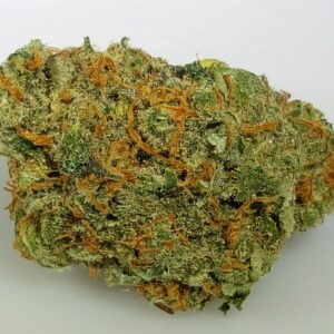 Buy Chocolope Weed Strain