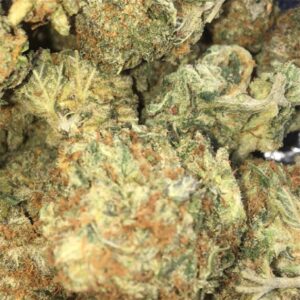 Buy Cinderella 99 Weed Online
