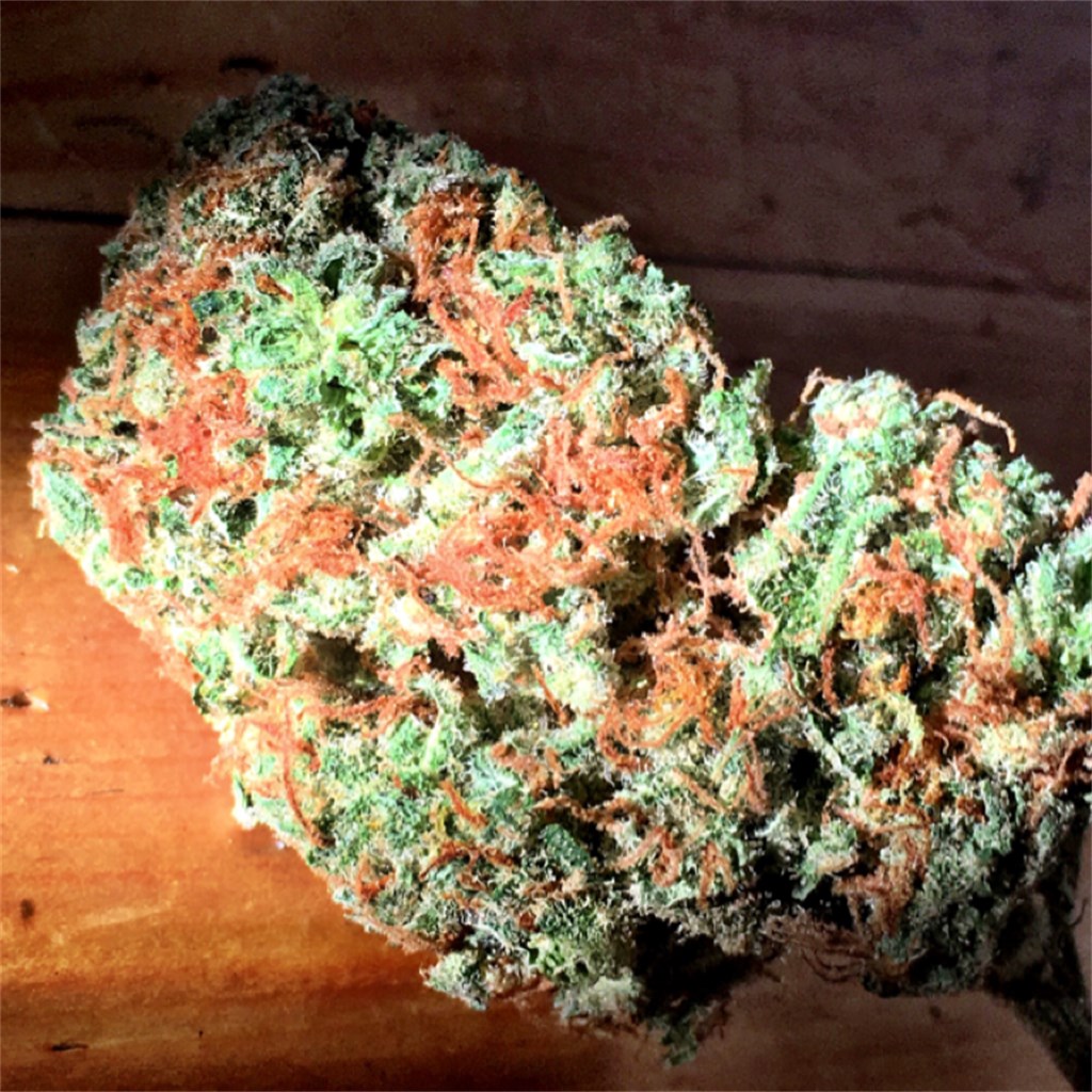 Buy Clementine Cannabis Online