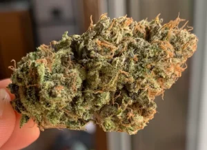 Buy Colombian Gold Weed Online