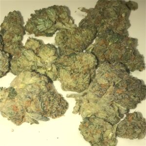 Buy Cookies and Cream Weed Strain